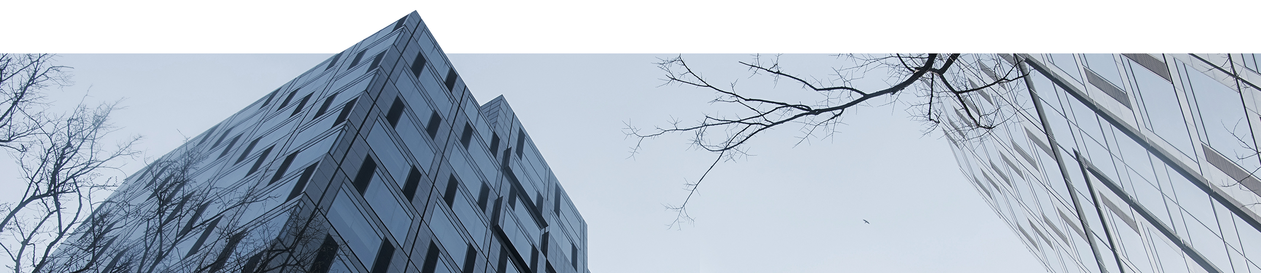 首页| DB真人旗舰集团中国官方网站